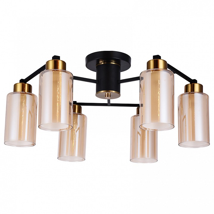 Потолочная люстра Arte Lamp Leo A7027PL-6BK - 0