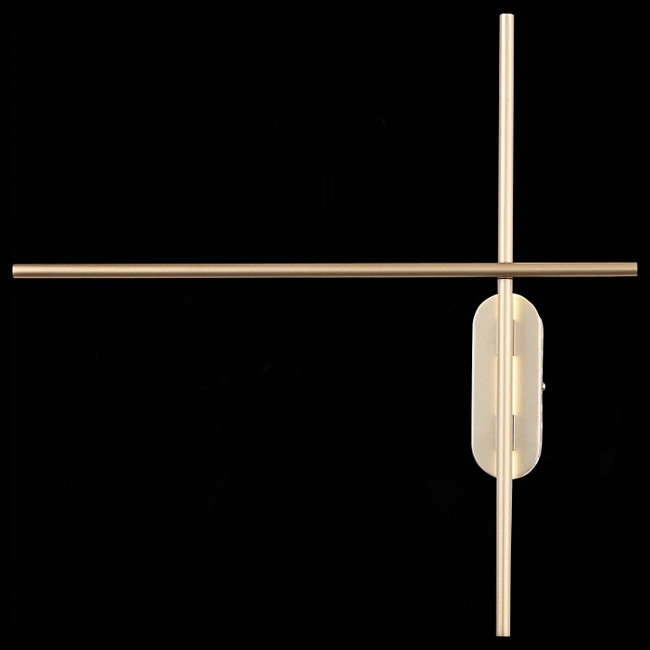 Накладной светильник ST-Luce Basoni SL394.201.02 - 2