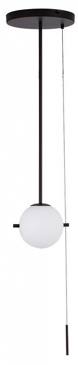 Светильник на штанге Loft it Signal 10029PS Black - 0