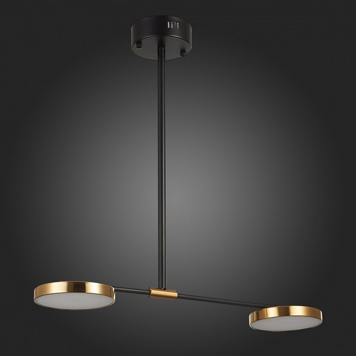 Светильник на штанге ST-Luce Farone SL1605.403.02 - 4