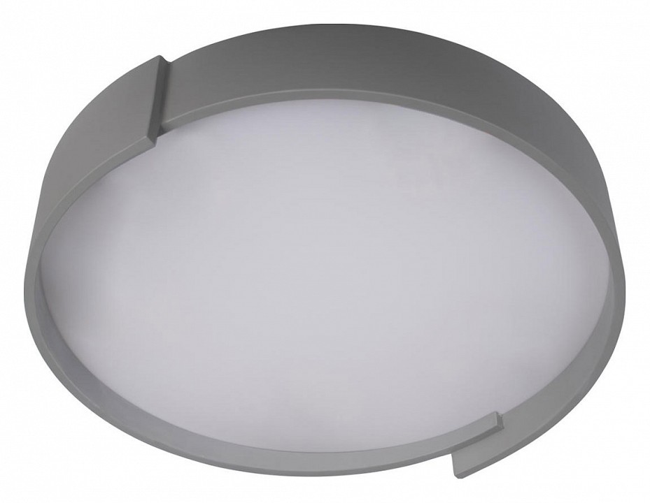 Накладной светильник Loft it Coin 10200 Grey - 1