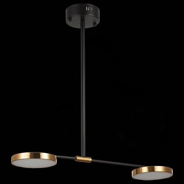 Светильник на штанге ST-Luce Farone SL1605.403.02 - 3