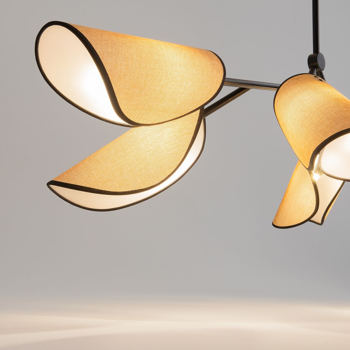 Подвесная люстра Maytoni Organic MOD225PL-06B - 3