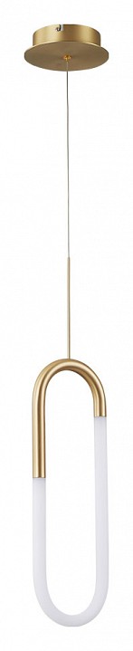 Подвесной светильник Arte Lamp Lumino A2233SP-20GO - 1