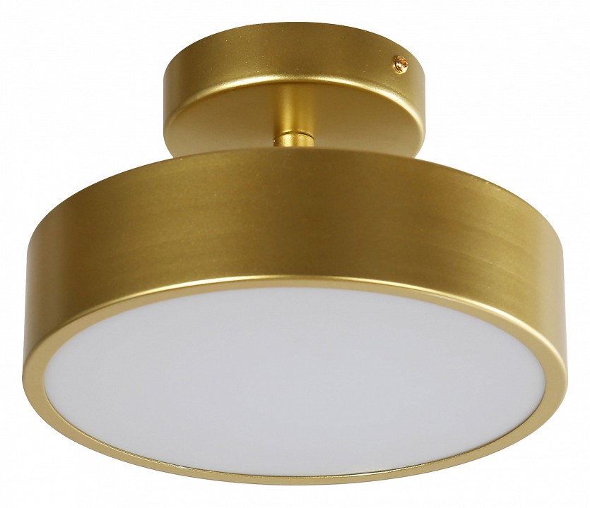 Светильник на штанге F-promo Atma 3059-2P - 0