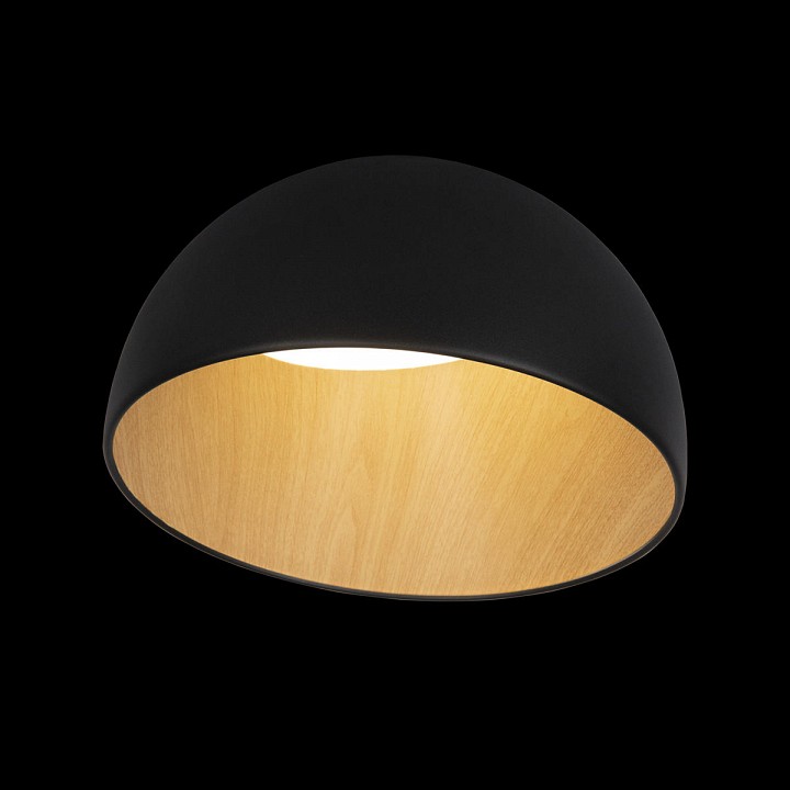 Накладной светильник Loft it Egg 10197/350 Black - 3