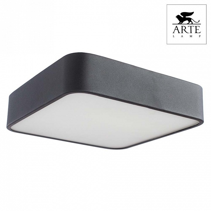 Потолочный светильник Arte Lamp Cosmopolitan A7210PL-2BK - 2