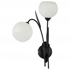 Бра Lussole Bagheria LSF-6291-02 - 1