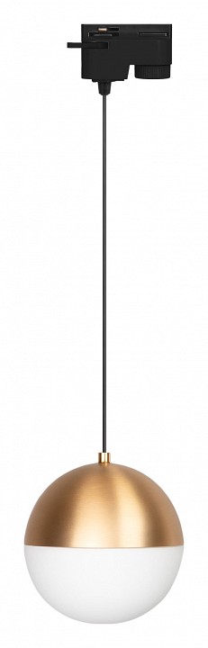 Трековый светодиодный светильник Arlight LGD-Emisfero-Track-Hang-2TR-R150-11W Day4000 035941 - 0
