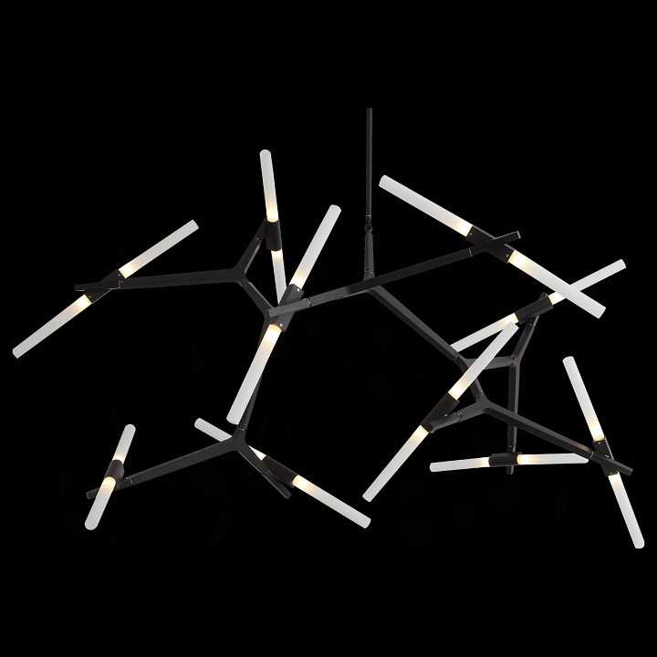 Люстра на штанге ST-Luce Laconicita SL947.402.20 - 5