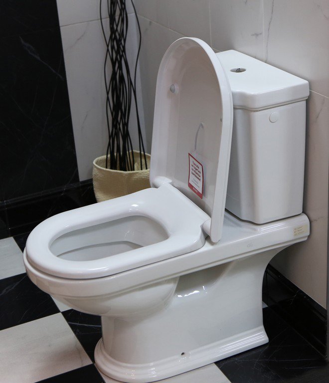 Унитаз-компакт Villeroy & Boch Hommage 6662 10 R1 alpin 666210R1 - 8