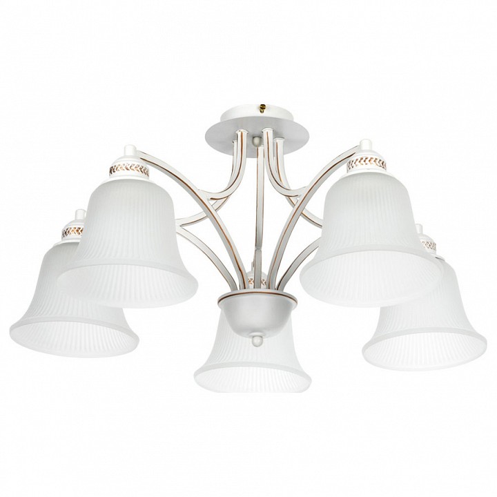 Потолочная люстра Arte Lamp Emma A2713PL-5WG - 0