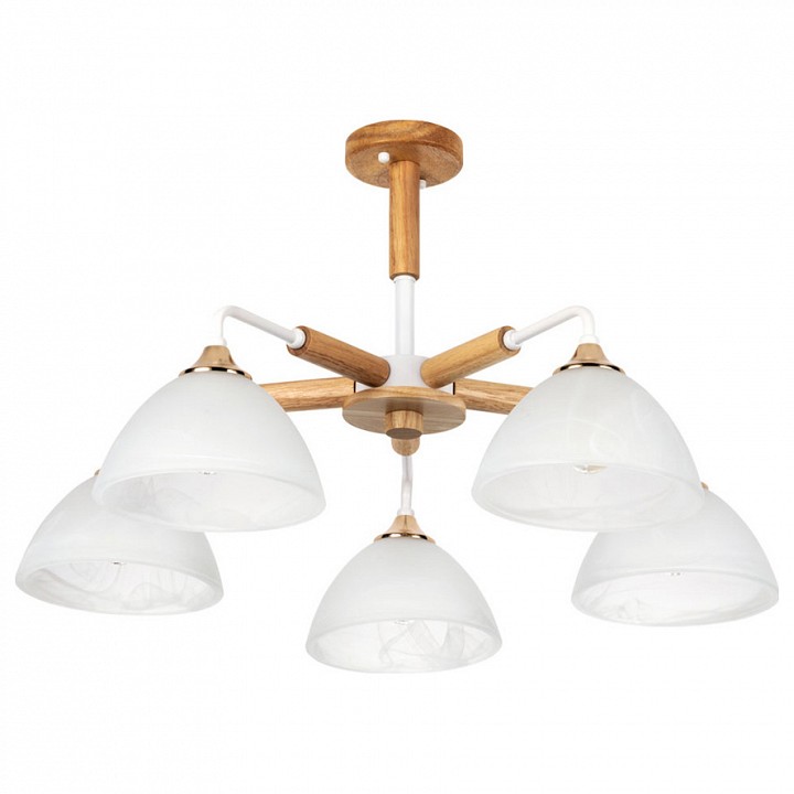 Потолочная люстра Arte Lamp Matthew A5032PL-5BR - 0