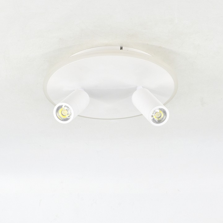 Светильник на штанге Escada 20046LED 20046SMA/02LED WH - 2