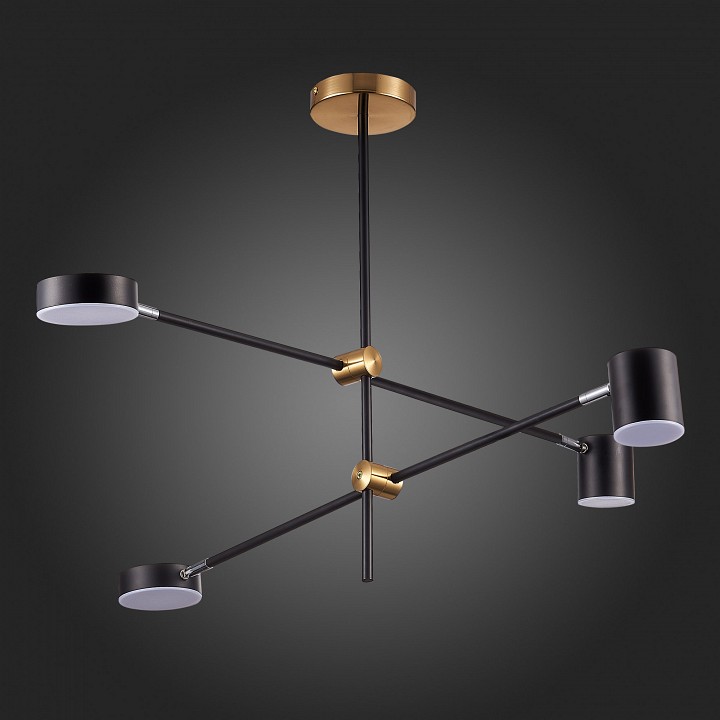 Люстра на штанге ST-Luce Rodrigo SL1604.432.04 - 6