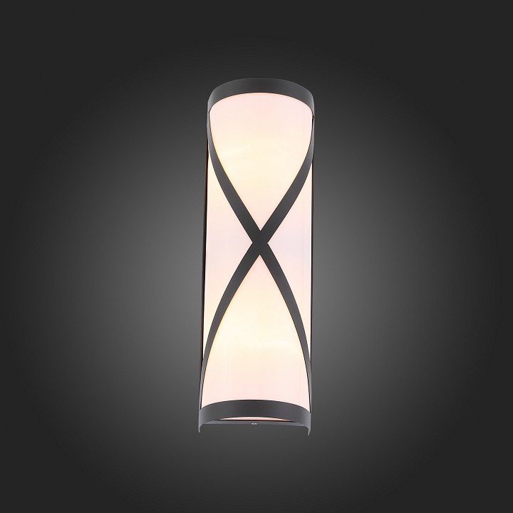 Накладной светильник ST-Luce Agio SL076.411.01 - 2