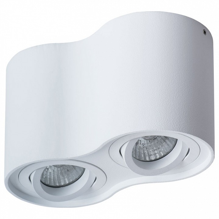 Потолочный светильник Arte Lamp Falcon A5645PL-2WH - 0