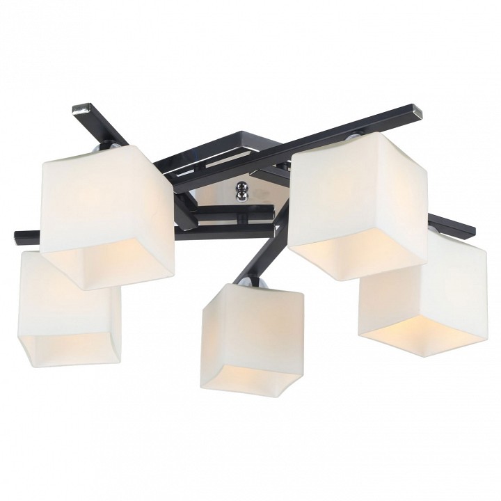 Потолочная люстра Arte Lamp 52 A8165PL-5BK - 0