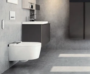 Унитаз подвесной Geberit AquaClean Tuma Comfort 146.294.SI.1 вставка белое стекло - 2