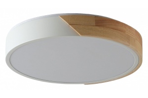 Накладной светильник Zortes ALBERRO ZRS.01239.90