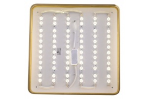 Накладной светильник Zortes Monna ZRS.1209.05 - 3