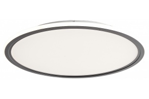 Накладной светильник Zortes GALO ZRS.10112.05