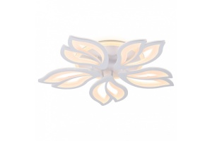 Накладной светильник Ambrella Light FA FA543 - 2