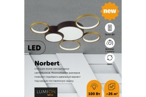 Потолочный светодиодный светильник Lumion Ledio Norbert 5255/99CL - 3