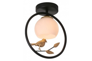 Накладной светильник Escada Song 1113/1P Black