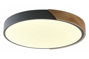 Накладной светильник Zortes ALBERRO ZRS.01280.72