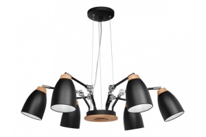 Подвесная люстра Loft IT Watchman Loft4402/6Bl - 2