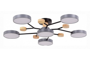 Потолочная люстра EVOLUCE Faema SLE6006-702-06