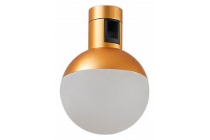 Светильник на штанге ST-Luce Farm ST815.206.05 - 2