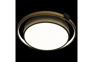 Потолочный светодиодный светильник Loft IT Mike 10169 - 3