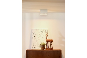 Потолочный светильник Lucide Bodi 09101/02/31 - 2