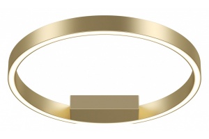 Накладной светильник Maytoni Rim MOD058CL-L25BSK