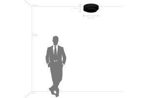 Накладной светильник Lightstar Celesta 809416 - 3