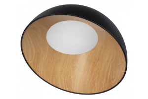 Накладной светильник Loft it Egg 10197/500 Black - 2