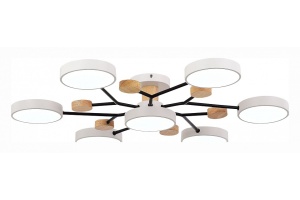 Потолочная люстра EVOLUCE Faema SLE6006-502-07 - 2