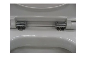 Крышка-сиденье Roca Dama Senso ZRU9000041 c микролифтом, петли хром - 2