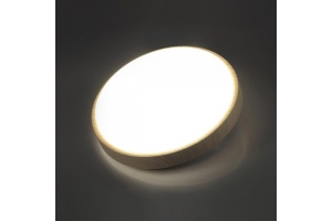 Настенно-потолочный светодиодный светильник Sonex Losta 7607/EL - 2