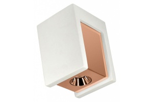 Потолочный светодиодный светильник Loft IT Architect OL1073-WG