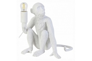 Настольная лампа декоративная EVOLUCE Tenato SLE115104-01