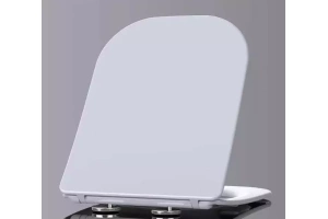 Сиденье для унитаза Esbano Gartez с системой микролифт, белый (ZAESUPGARTW0801)
