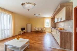 Накладной светильник Arti Lampadari Venezia Venezia E 1.13.46 G - 2