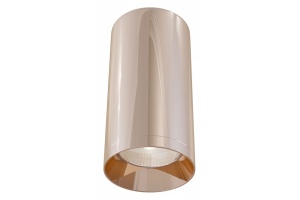 Потолочный светильник Maytoni Alfa C010CL-01RG