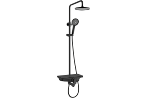 Душевая стойка WeltWasser WW DP 1020 BL черный (10000003186)
