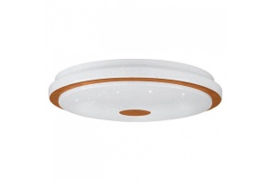 Настенно-потолочный светодиодный светильник Eglo Lanciano 1 900598