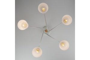 Потолочная люстра Eurosvet Betty 70062/5 белый - 2