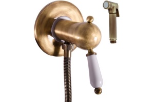 Гигиенический душ Rav Slezak Labe Mosaz L547SM со смесителем